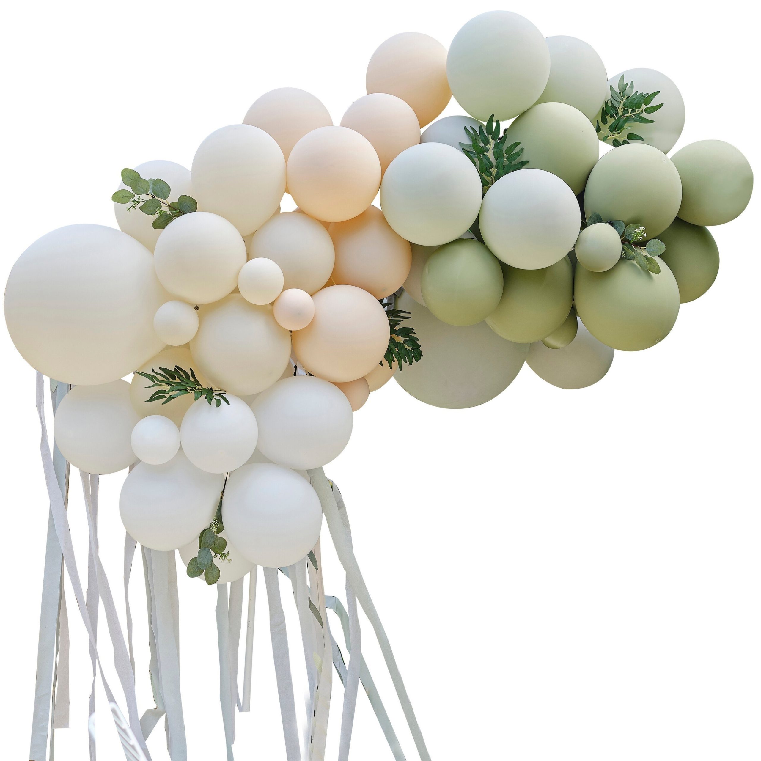 Botanical Balloon Arch, 70 balloons 1 Botanical Balloon Arch, 70 balloons