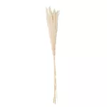 plumeaux epis creme decoration pampa herbe interieur fete mariage lausanne monthey jpg ec4fea8b